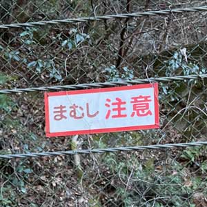 オーナーのブログ